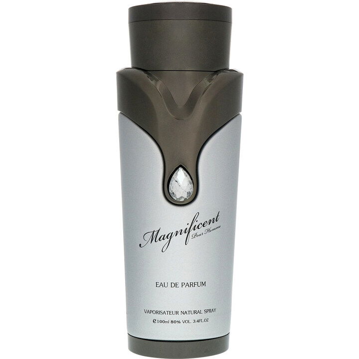 Magnificent pour Homme